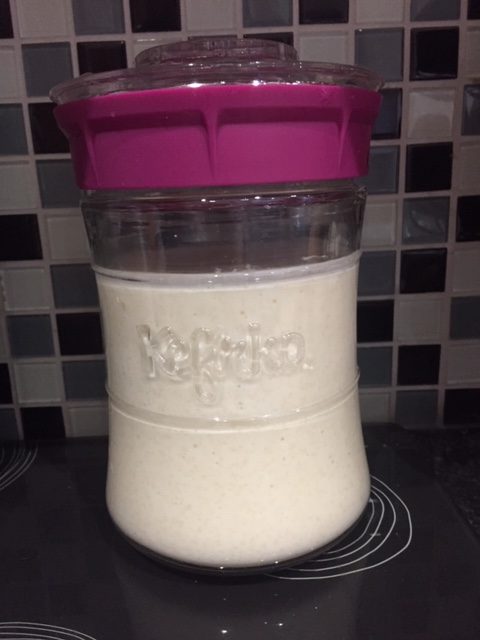 Milk Kefir - Fermenters Club